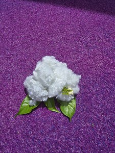 Fibre de polyester recyclée non siliconée conjuguée creuse 7Dx76mm HCD, matériau de rembourrage, certifiée Vietnam ISO OEKO GRS - Product Image 4