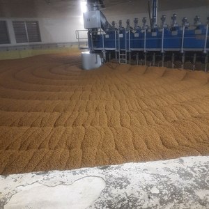 Maltas de Cebada Secas Obolon de Dos Filas Spring 25/50 KG para Elaboración de Cerveza - Product Image 2