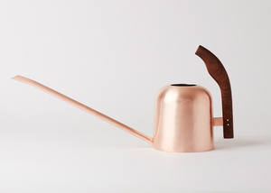 ไม้เท้าน้ำสีเขียวสำหรับบ้านโรงแรมสวนปลูกต้นอ้อยน้ำโลหะ - Product Image 3