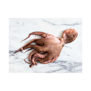 Poulpe entier surgelé, vente en gros, qualité supérieure, produits de la mer - Product Image 2