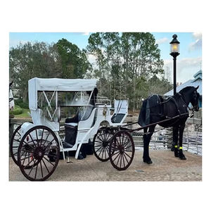 Increíble turista blanco Vis a Vis carruaje de caballos elegante Vis a Vis carruaje de caballos clásico Vis a Vis carruaje de caballos - Product Image 1