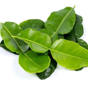 ใบมะนาวแช่แข็งธรรมชาติ/เกรดพรีเมี่ยม/พร้อมใช้งาน/บรรจุภัณฑ์จำนวนมาก/มาตรฐานการส่งออก - Product Image 6