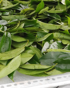 นำสุขภาพมาสู่ลูกค้าของคุณด้วยทุเรียนเทศแห้งแบบพรีเมี่ยมจากเวียดนาม, ธรรมชาติ100%, คัดสรรอย่างดีและราคาไม่แพง - Product Image 1