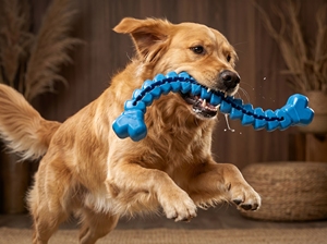 Ledu Squeaky Treat Bone – Jouet à mâcher durable pour chien avec distributeur de friandises - Product Image 3
