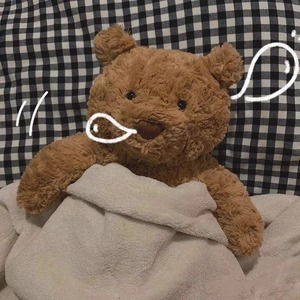 Orsacchiotto di Peluche Aika Trendy, Giocattoli Animali Imbottiti in Cotone PP, Decorazione Kawaii per la Stanza, Vendita all'Ingrosso - Product Image 5