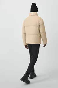 2025 Spring Thin Stand Collar Men's Puffer <b>Jacket</b> <b>Padded</b> Cotton <b>Waterproof</b> Breathable Plus Size Oversized Streetwear - Product Image 4