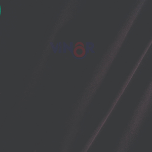 Camisetas Unisex de algodón 100% de alta calidad, camiseta Boxy Fit de cuello redondo antiarrugas para gimnasio para primavera y verano, servicio OEM - Product Image 6