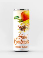 Oem Mousserende Harde Kombucha 250Ml/320Ml/500Ml Blikjes Natuurlijke Mango Appel Ananas Guave Fruit Smaken Groentesap
