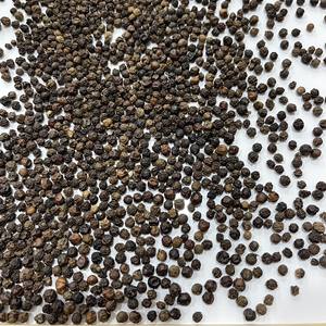 POIVRE NOIR Grossiste de 500G/L 550G/L 5MM 600G/L FAQ Machine Clean & White Pepper Grade 1 Single Spices & Herbs VILACONIC - Product Image 4