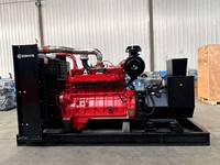 300kW 375kVA Erdgasgenerator mit Hanma-Motor für Industrielle Stromversorgung Wasserkühlung Automatisches Startsystem
