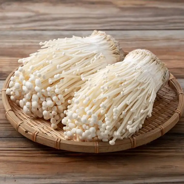 Enoki Paddestoel Met Hoge Kwaliteit En Redelijke Prijs | Goed Product Van De Beste Leverancier In Vietnam Nam