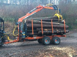 Remolque Forestal para Troncos con Grúa y Toma de Fuerza para Tractor, Capacidad de 10 Toneladas, Envío Gratuito - Product Image 6