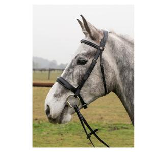 Brida para Caballo de Cuero Premium con Tirador Lateral, Tamaño y Logotipo Personalizables, Venta al Por Mayor - Product Image 1