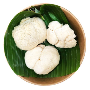 แผงคอสิงโตมีสารสกัดจากผลไม้เห็ดสีน้ำตาลเหลืองสำหรับใช้เป็นยา - Product Image 5