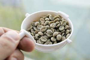 เมล็ดกาแฟสีเขียวล้างอาหรับสำหรับ100% จากเวียดนามโรบัสต้าปรุงสุกทั้งตัวพร้อมส่งออก2023 - Product Image 5