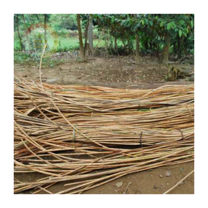 Bastón de ratán tejido premium: una mezcla de fuerza y comodidad de la naturaleza - Product Image 4