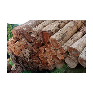 Troncos de fresno de roble abeto de pino/troncos de madera de eucalipto troncos de madera de teca personalizados Pino-madera cruda al por mayor - Product Image 2