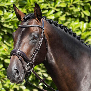 Bride anatomique équine avec bride flash brevet métallique avec rênes antidérapantes gris argenté rembourré mexicain - Product Image 1