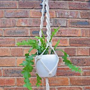 Macrame Plant Hanger Indoor Hanging Planter for Plants Holder for <b>Boho</b> Indoor Outdoor <b>Boho</b> <b>Home</b> <b>Decor</b> - Product Image 2