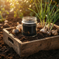 Extrait de Ail Noir en Poudre de Qualité Supérieure, Supplément Herbal Naturel pour l'Industrie Alimentaire, Certifié Halal, SAC 0,1%-1%