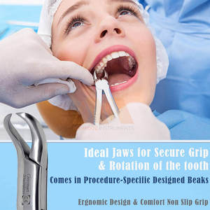 Forceps d'extraction dentaire, modèle américain, instrument chirurgical dentaire, acier inoxydable, forceps d'extraction dentaire modèle américain - Product Image 2