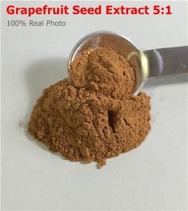 Tự nhiên bổ sung sản phẩm Bưởi chiết xuất hạt 20:1 4:1 Bưởi chiết xuất hạt bột - Product Image 4