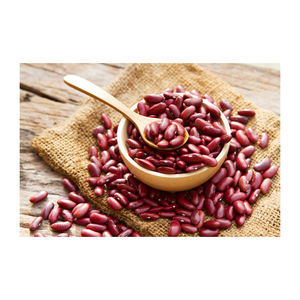 Discount price Red Kidney Bean bulk supply wholesale export ready - Product Image 1