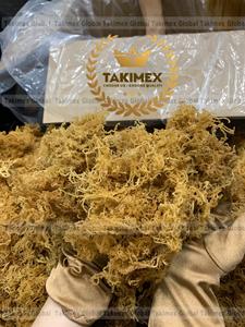 Musgo Irlandés Silvestre de Primera Calidad a Precio Competitivo, Musgo Marino Seco de Vietnam - Product Image 2