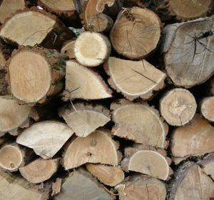 Four à bois de chauffage sec en hêtre/chêne Bois de chauffage séché dans des sacs Bois de chauffage de chêne sur palettes de longueur 25 cm, 33 cm Approvisionnement en vrac Ukraine - Product Image 6