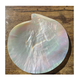 Exquisite White Mother of Pearl Spoon for Caviar Lovers Gourmet Food Tasting Luxury Dining and Wedding Events - Product Image 3