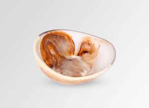 Bol en résine de forme ronde avec cuillère bol sculpté en céramique ensemble de bol de service jetable écologique Style américain cadeau d'affaires maison - Product Image 5