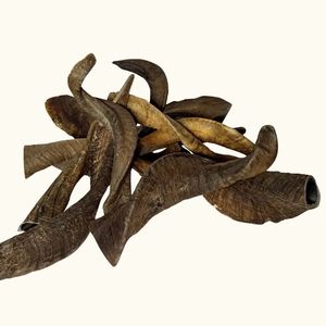Corne de chèvre riche en protéines faible en gras pour chiens jouet à mâcher durable pour une alimentation saine - Product Image 5