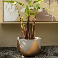 Planteur xxl pas cher grand extérieur tuinpotten en plantenbakken moules en silicone pots en béton qualité finie