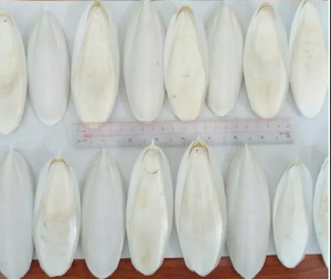 Hueso de Sepia Seco Natural, 85% Calcio y Minerales Esenciales, Suplemento 100% Orgánico, Sin Blanquear, Juguete para Aliviar el Estrés. - Product Image 4