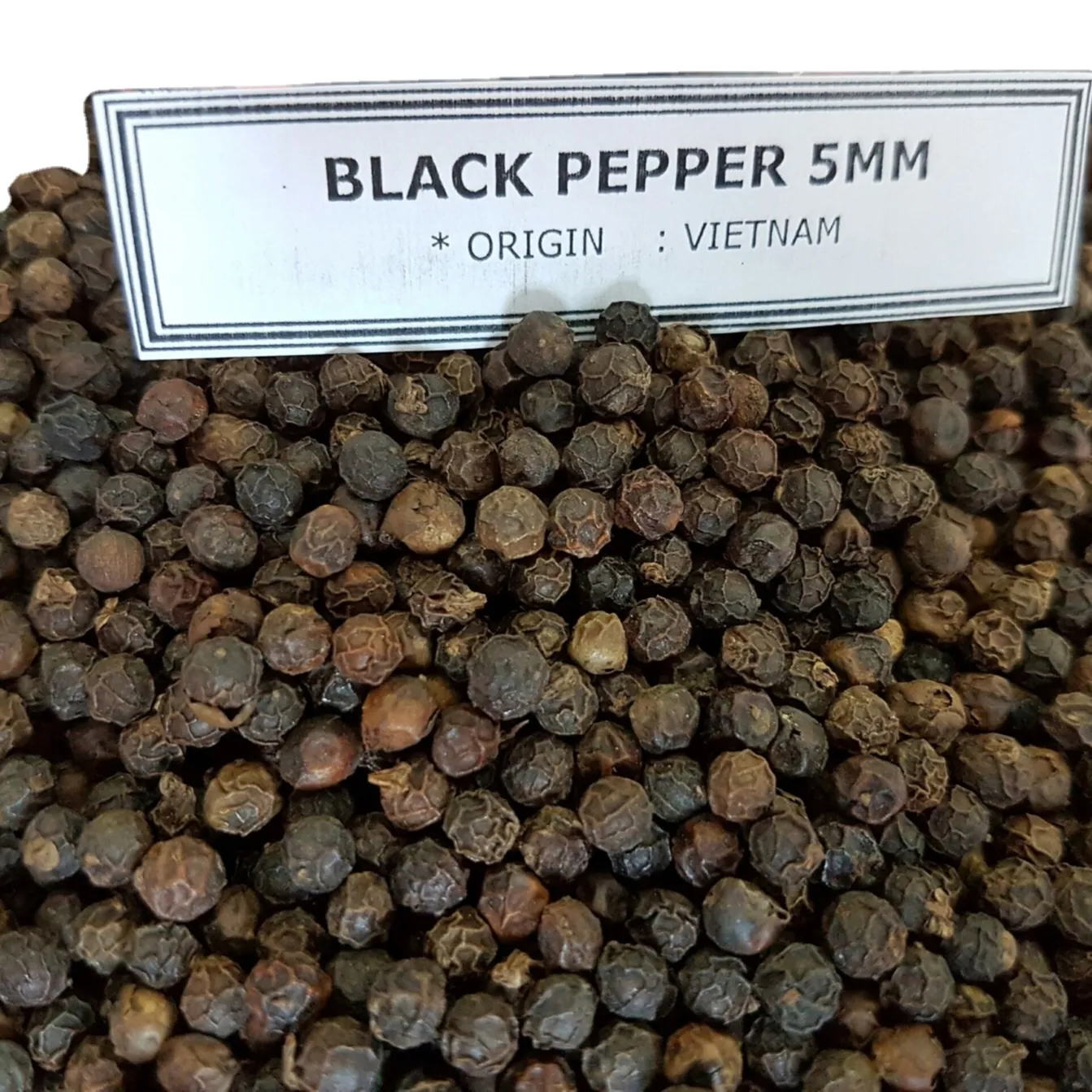 5mm Black Pepper - Factory Price Wholesale/Retail From South Mekong Manufacturer