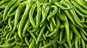 Chiles Verdes Frescos para el Mercado de Productos Premium de Singapur - Product Image 4