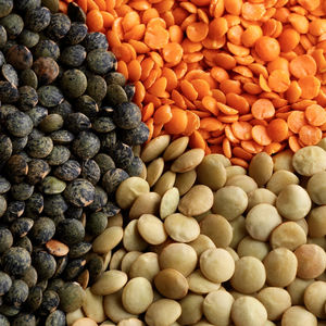 Stock Of Pure Dried Lentils Available In Bulk For Shipment With Lentils Ready For <b>Food</b> And Retail Packing - Product Image 2