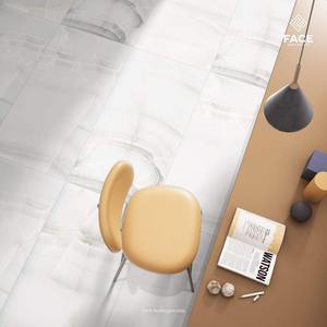 Carreaux de porcelaine DLG-91 Design unique pour hall extérieur Salle de bain pour rénovation domiciliaire contemporaine Projets commerciaux disponibles - Product Image 4