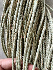 Cuerda de algas marinas de primera calidad, Venta caliente ecológica de alta calidad para tejer embalado a granel - Product Image 5