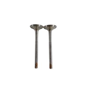 SOUPAPES D'ADMISSION VOLKSWAGEN Golf 5 Berline (03>08) VM2370 Diesel 1.9 - Product Image 1