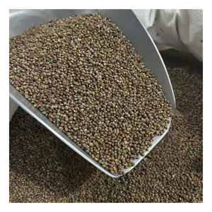 Vente en Gros de Graines de Périlla Séchées Pourpres Noires Herbes et Épices Comestibles Petites Graines de Périlla - Product Image 5