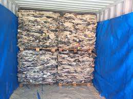 Cabezas de vaca saladas húmedas – Calidad de exportación |   Mejores Precios - Product Image 4