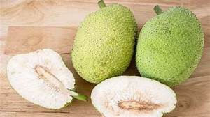 FRUITS À PAIN CONGELÉS NATURELS PUR FRUITS TROPICAUX ENTIERS POUR UN SOUTIEN IMMUNITAIRE ET À BASE DE PLANTES PROPRE ALIMENTATION STYLE DE VIE - Product Image 5