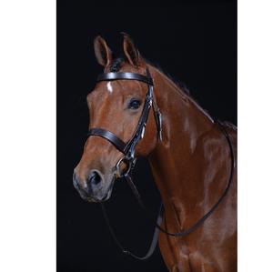 Hunt Cavesson Bridle Vente en gros nouvelle bride en cuir de haute qualité pour cheval en cuir noir de qualité supérieure pour cheval - Product Image 1
