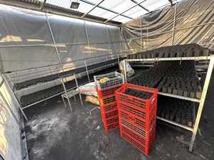 Charbon de bois dur Briquette de bois Charbon de bois pour barbecue pour le chauffage avec 0,5% de cendres et 4953J de calories Meilleur prix - Product Image 3