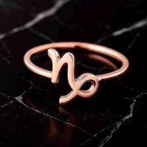 Bague du signe du Capricorne en argent sterling 925 plaqué or rose 14 carats, faite à la main, signe du zodiaque, bande réglable, minimaliste, astrologie - Product Image 4