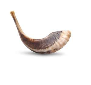 Shofar religioso tallado, cuerno de carnero pulido, sin olor Natural, Judaica hecha a mano para Rosh Hashanah y Yom Kippur - Product Image 2