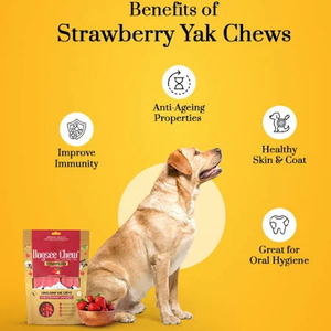 Friandise à mâcher pour chien au lait de yak de l'Himalaya, longue durée, à la fraise, riche en protéines, au lait de yak de l'Himalaya, sans céréales, pour chien et chat - Product Image 5