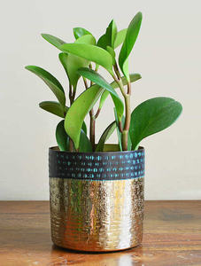 AK laiton nouveau Design Pots de fleurs en métal décoration de maison et de jardin jardinière avec conception martelée meilleure qualité au meilleur prix - Product Image 2