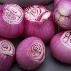 Ajo picado fresco premium y cebollas rojas - Origen Vietnam, en bolsa de malla, 4 semanas de duración, para procesamiento y exportación de alimentos - Product Image 6